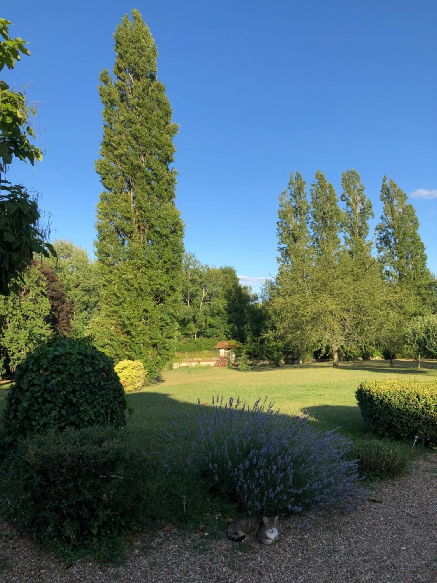 Bed & Breakfast Maison Angulus Ridet Montcresson